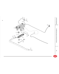 Manifold