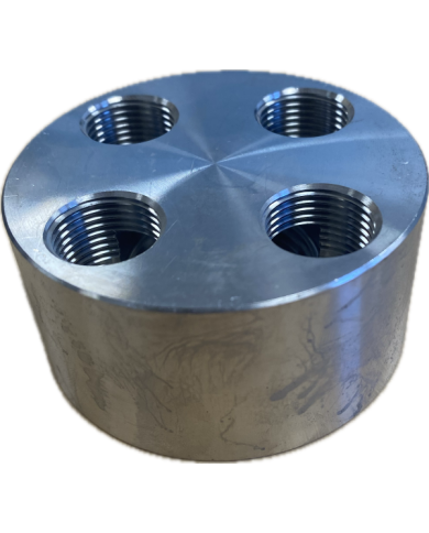 Manifold