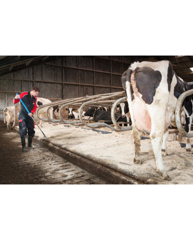 KAMPAGNE Lely comfort 1250 kg